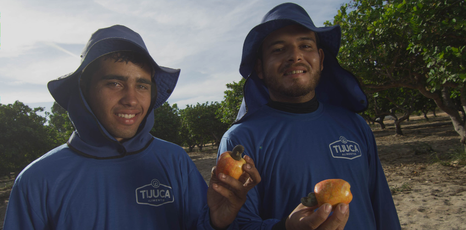 Cajucultura no agronegócio cearense